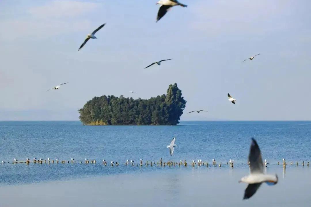 滇池网红打卡点“鲸鱼岛” 图源：昆明发布(1)