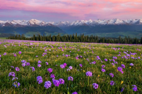 2025042896d24d8c11534ef58b342178de937833_XxjwshE007084_20250428_CBMFN0A001