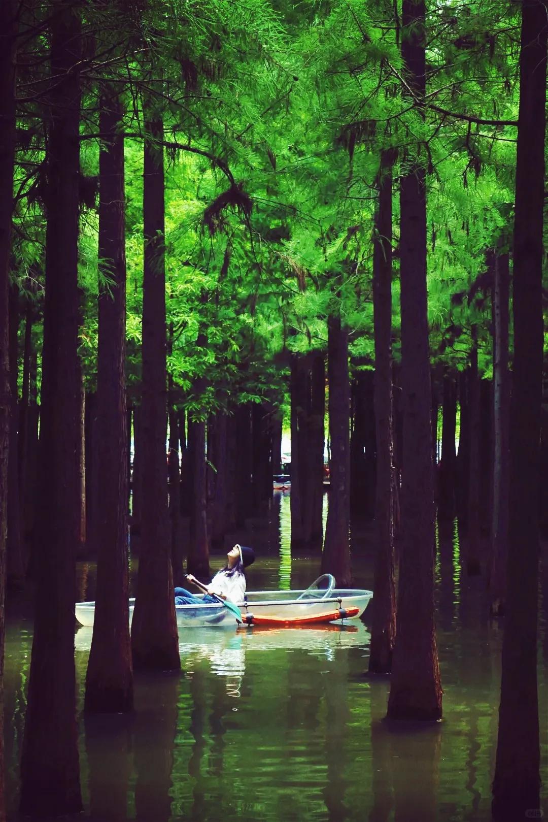 图源:小红书@BOOGUST(1) 图源:小红书@BOOGUST(1)