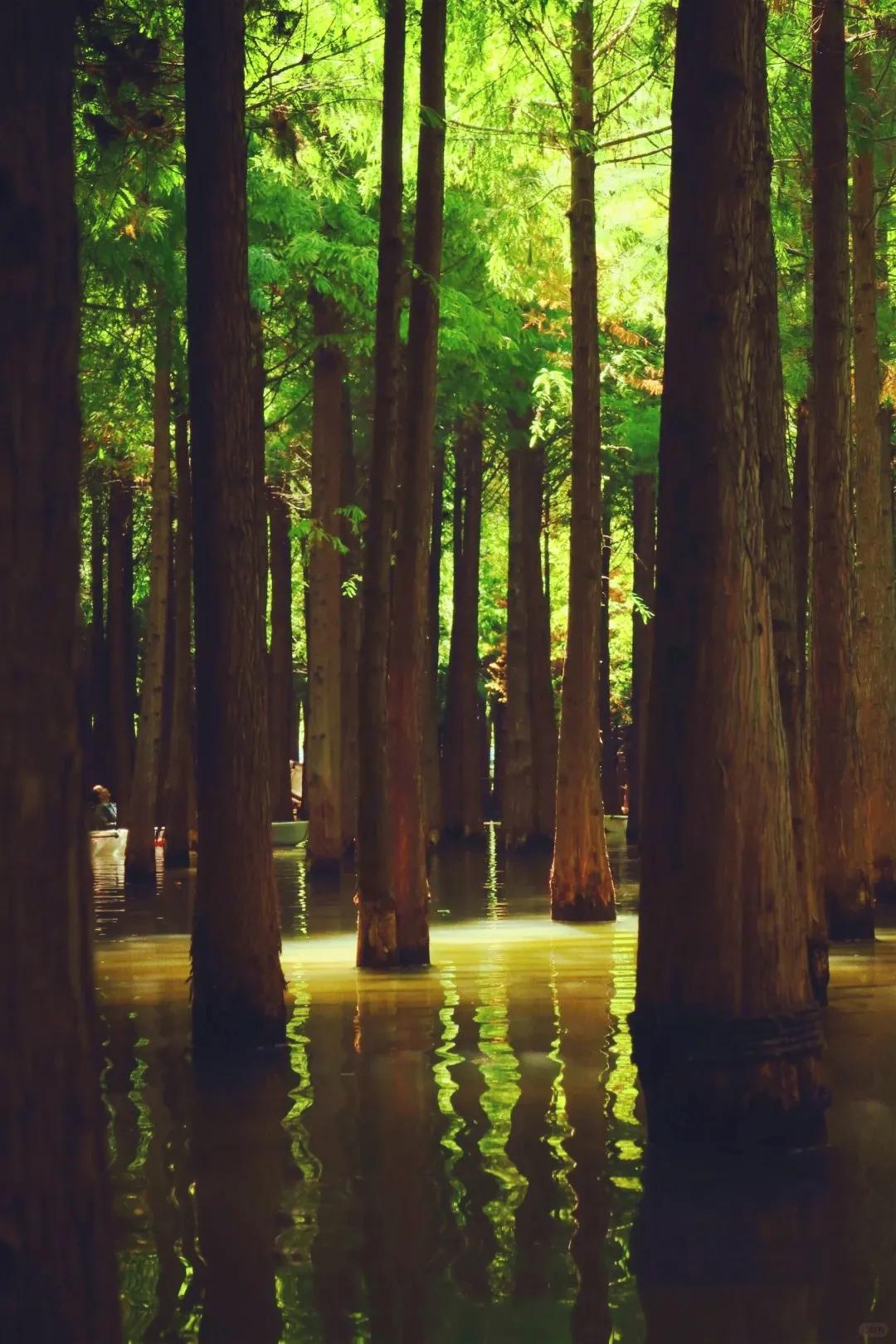 图源:小红书@BOOGUST3(1) 图源:小红书@BOOGUST3(1)