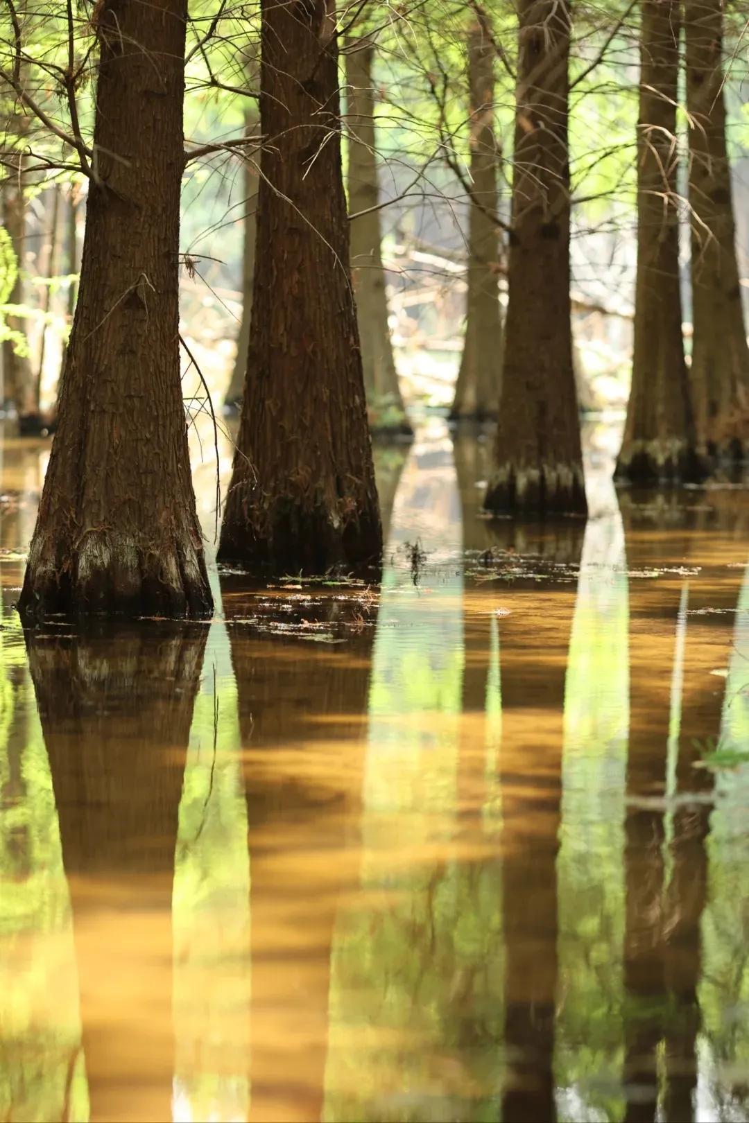 图源:小红书@伽瑞(1) 图源:小红书@伽瑞(1)