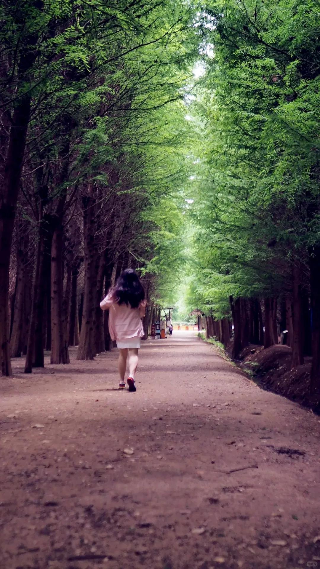 图源:小红书@灰狼叔叔的兔子屋1(1) 图源:小红书@灰狼叔叔的兔子屋1(1)