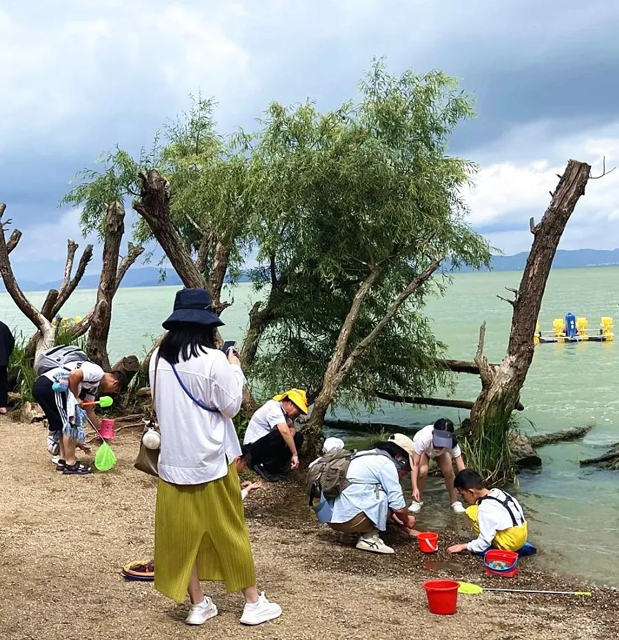 图源:小红书@灰狼叔叔的兔子屋2(1) 图源:小红书@灰狼叔叔的兔子屋2(1)