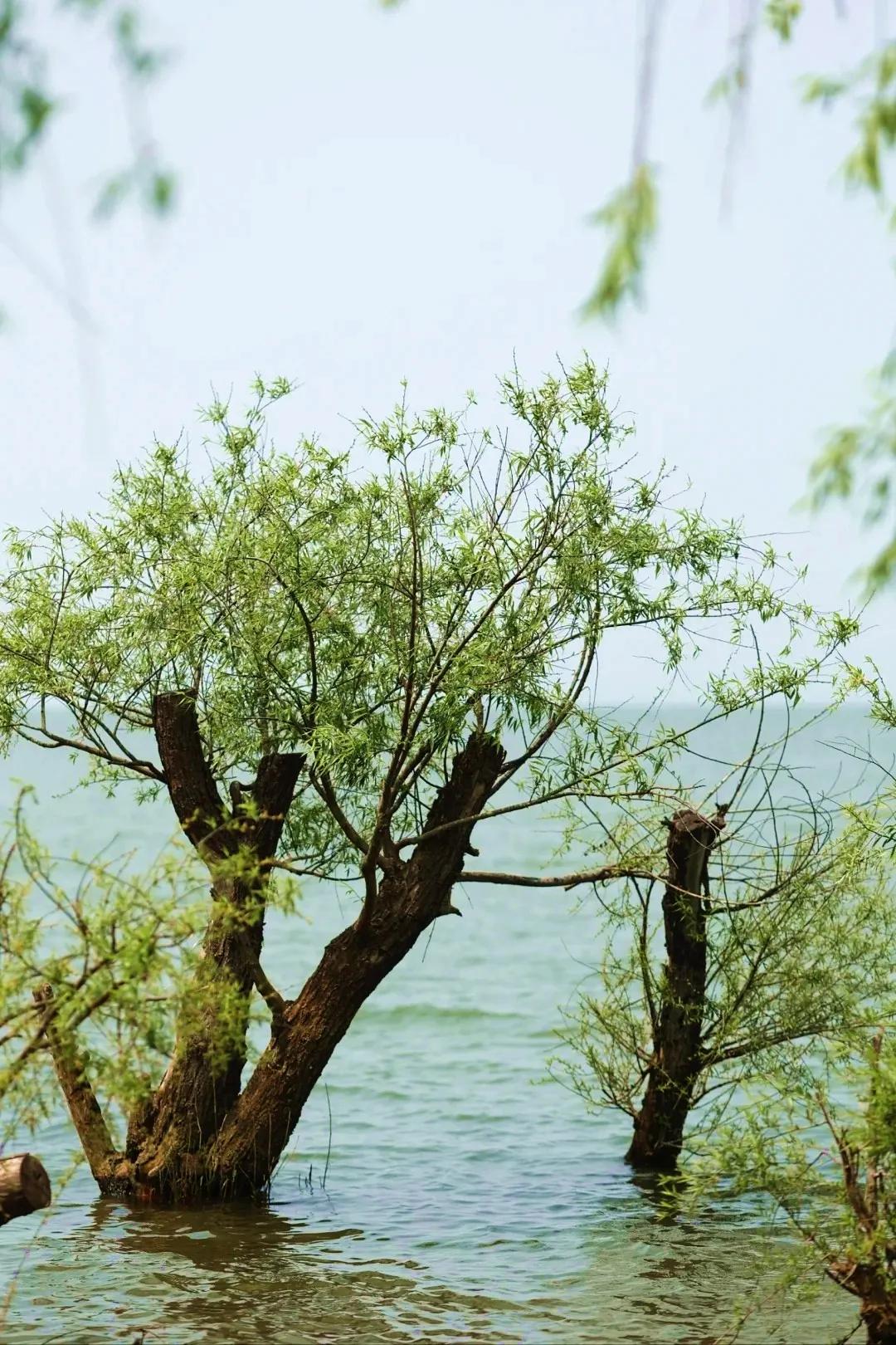 图源:小红书@伽瑞2(1) 图源:小红书@伽瑞2(1)