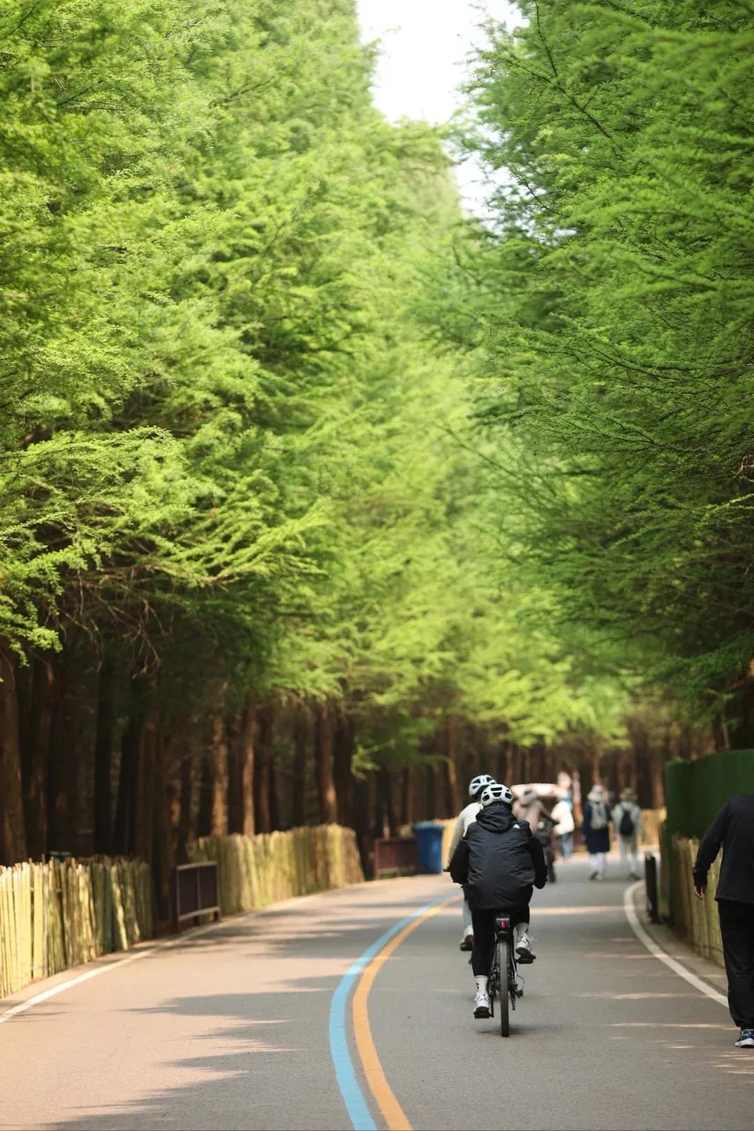 图源:小红书@伽瑞3(1) 图源:小红书@伽瑞3(1)