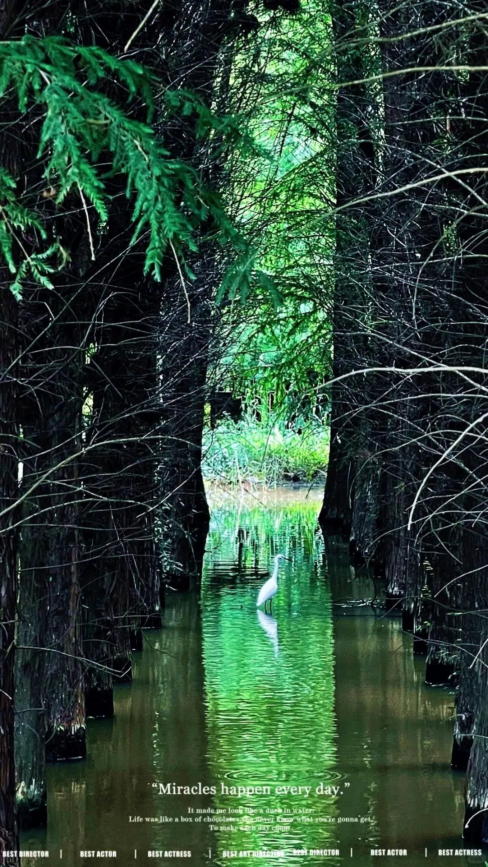 图源:小红书@灰狼叔叔的兔子屋(1) 图源:小红书@灰狼叔叔的兔子屋(1)
