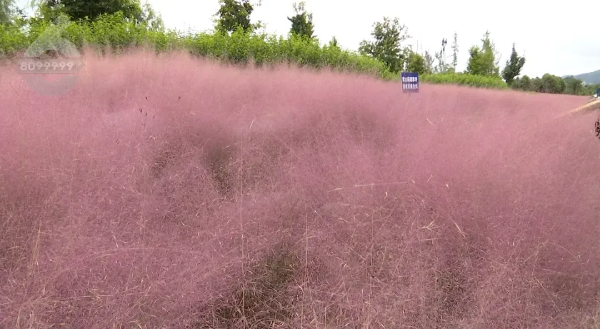 imageye___-_imgi_7_640