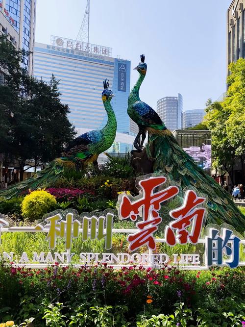 有一种叫云南的生活