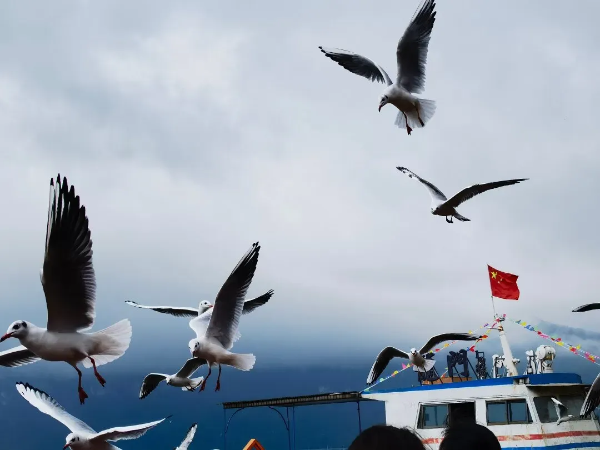 imageye___-_imgi_40_640