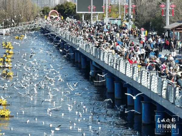 imageye___-_imgi_38_640_副本