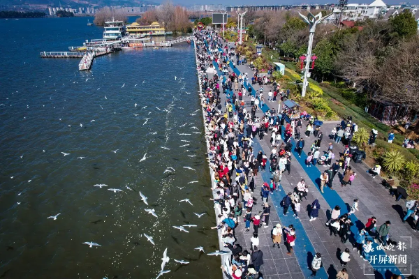 imageye___-_imgi_17_640