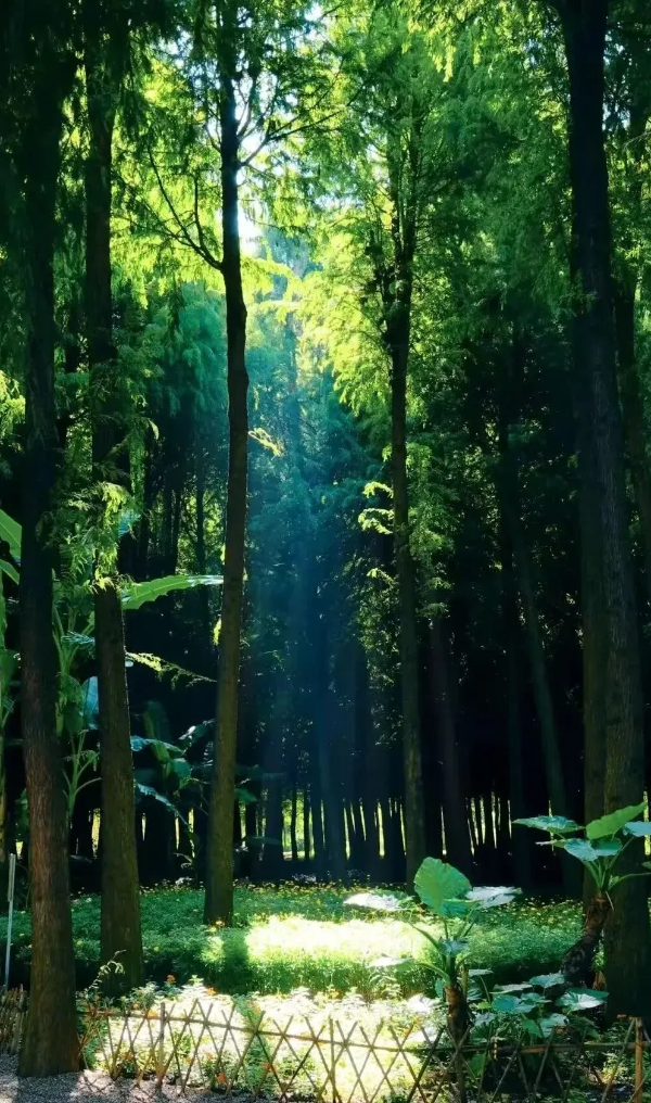 imageye___-_imgi_61_640