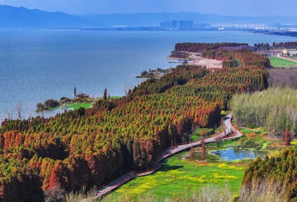 imageye___-_imgi_31_640