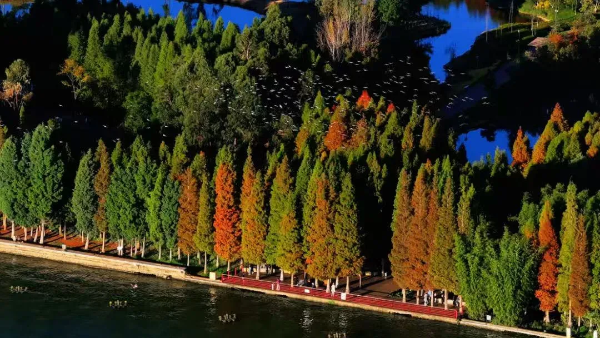 imageye___-_imgi_38_640