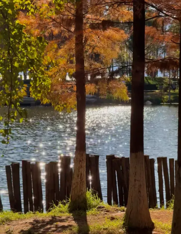 imageye___-_imgi_42_640