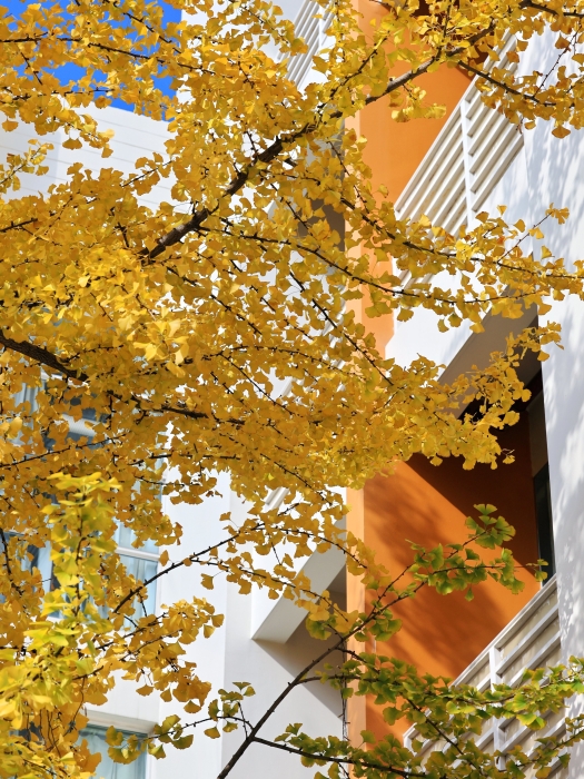 文林街2 无违旅行 文林街2 无违旅行