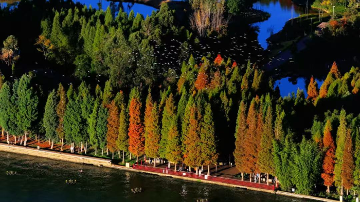海洪湿地1 文旅云南 海洪湿地1 文旅云南