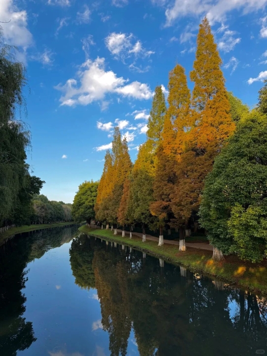 采莲河1 伙食团微服食访 采莲河1 伙食团微服食访