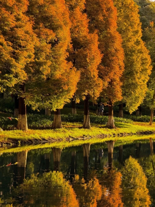 采莲河3 伙食团微服食访 采莲河3 伙食团微服食访