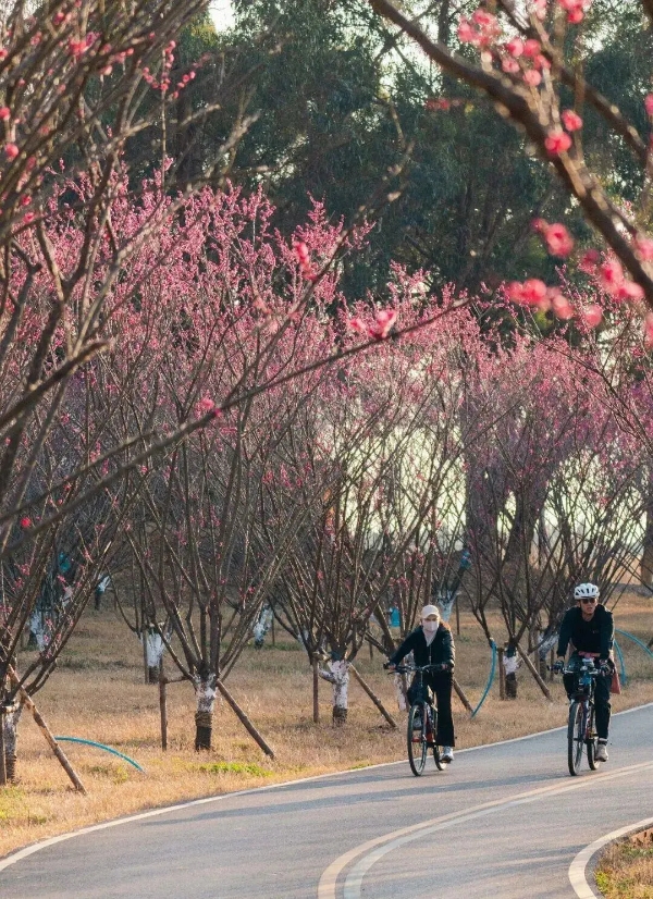 图片 (2) 图片 (2)