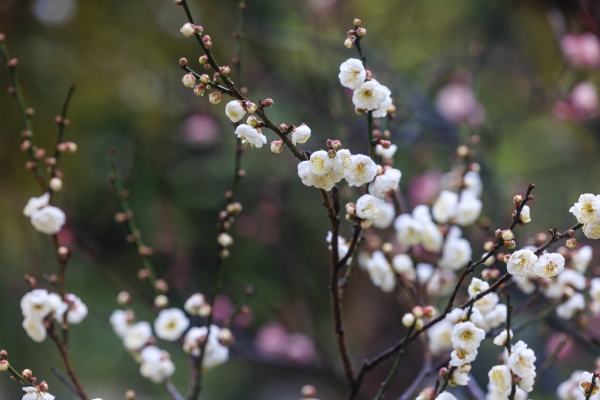 3f92f9bd6bc443f89b63b7b0c9e228b8 3f92f9bd6bc443f89b63b7b0c9e228b8