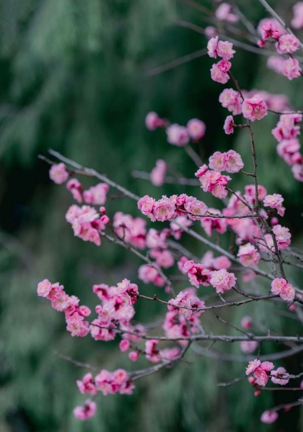 6a99a721ac0c45429dcc64e1b66e53a6 6a99a721ac0c45429dcc64e1b66e53a6