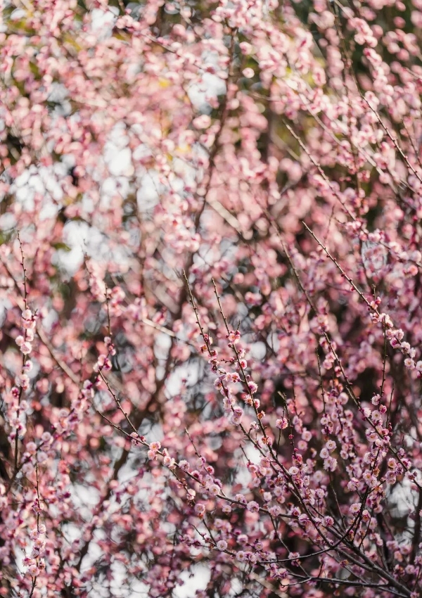 b471fa5893af4edba3178e87db8ba2b8 b471fa5893af4edba3178e87db8ba2b8