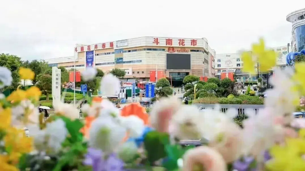 2038939_2048x2048 2038939_2048x2048