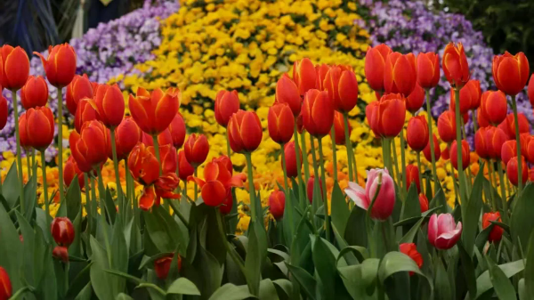 2038949_2048x2048 2038949_2048x2048