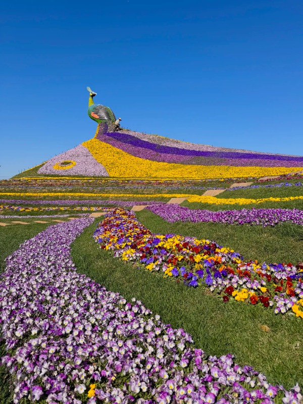 小红书@逛吃情报局