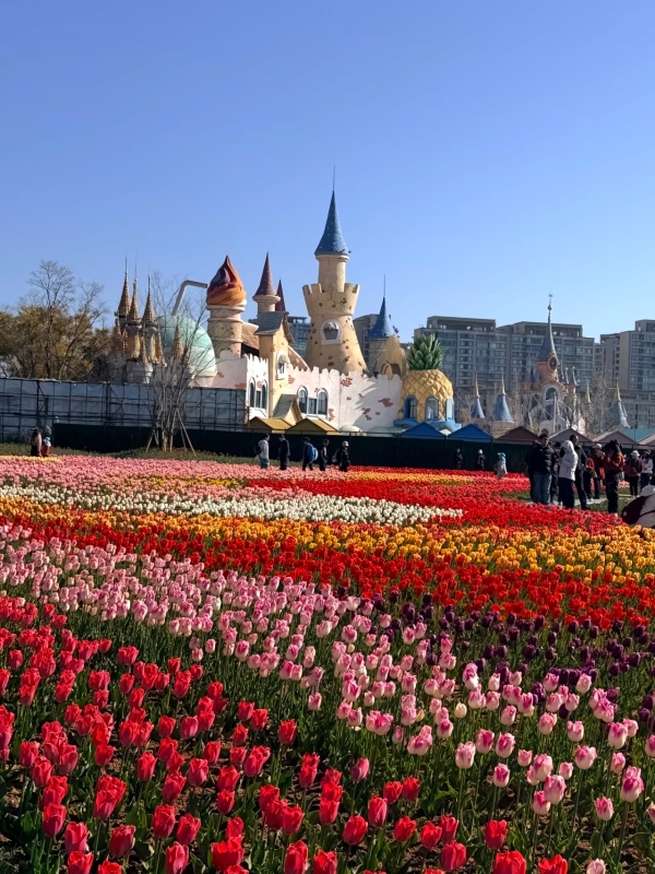 微信图片_20260209162452_133_103