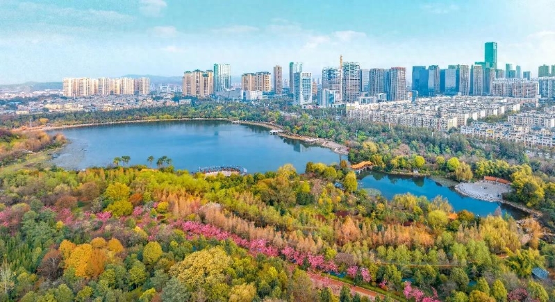 2066058_2048x2048 2066058_2048x2048