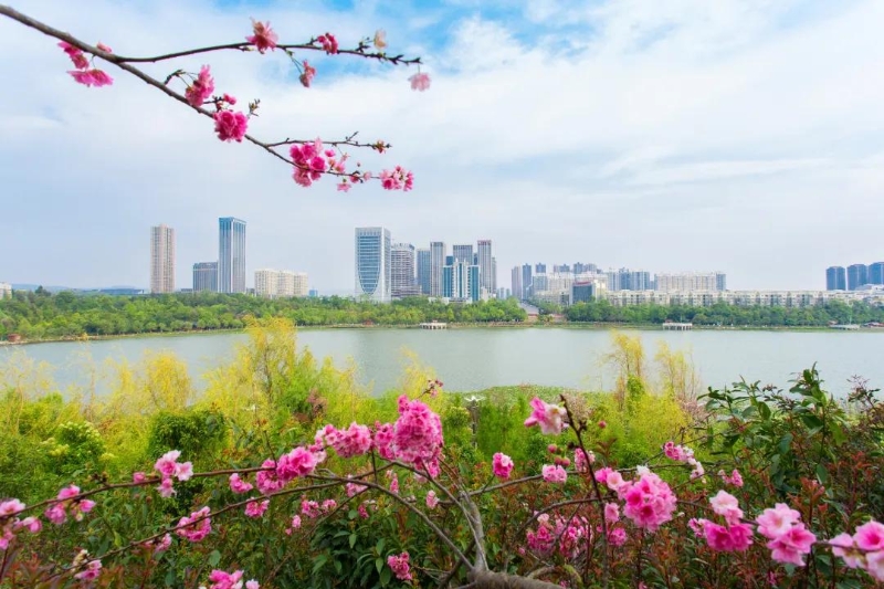 2066059_2048x2048 2066059_2048x2048