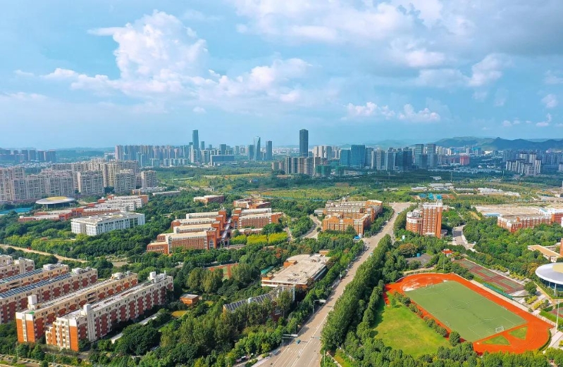 2066060_2048x2048 2066060_2048x2048