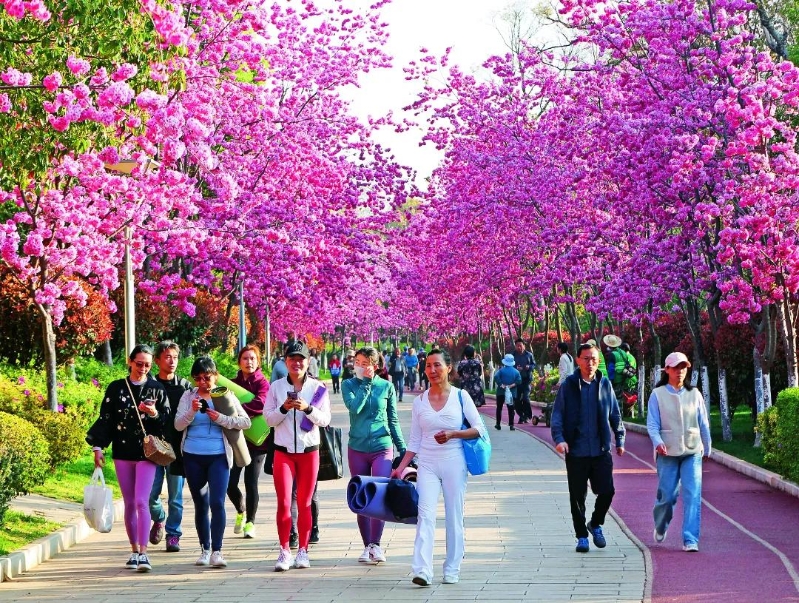 2066061_2048x2048 2066061_2048x2048