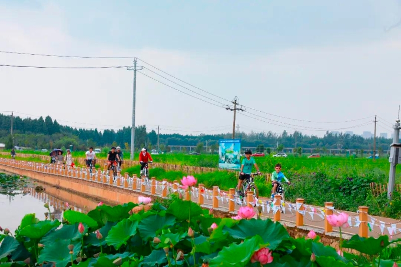 2066064_2048x2048 2066064_2048x2048