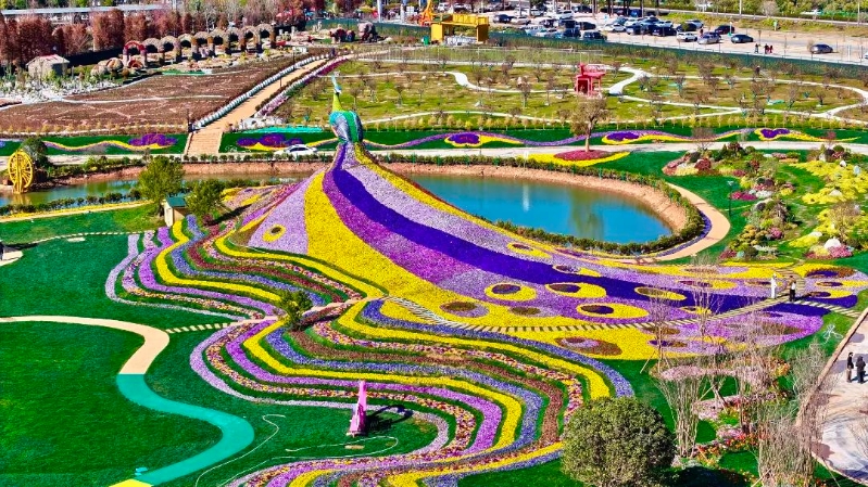 2066065_2048x2048 2066065_2048x2048