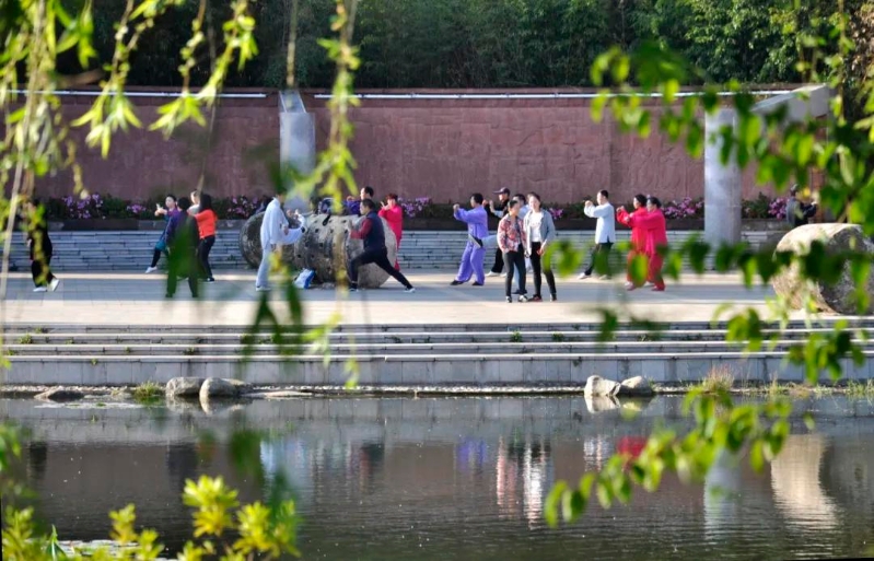 2066067_2048x2048 2066067_2048x2048