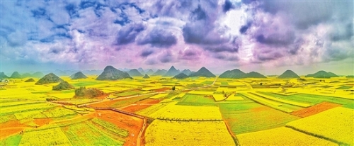 2018050412_res11_attpic_brief