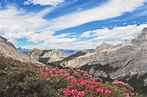 2018050412_res07_attpic_brief