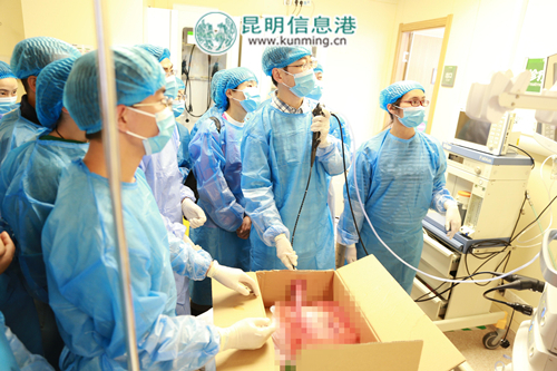 专家手术演示现场受热捧