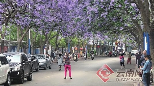 94de802731461c5c398c06