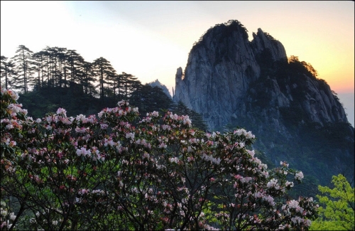 2063d152-c7e8-48f2-b3e6-b22200646a19