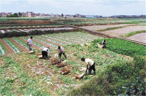 5b02031f5dddc 5b02031f5dddc