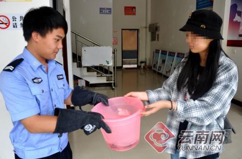 002324a096781c6e23b75c 002324a096781c6e23b75c