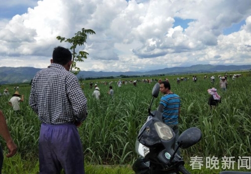 640.webp (1) 640.webp (1)