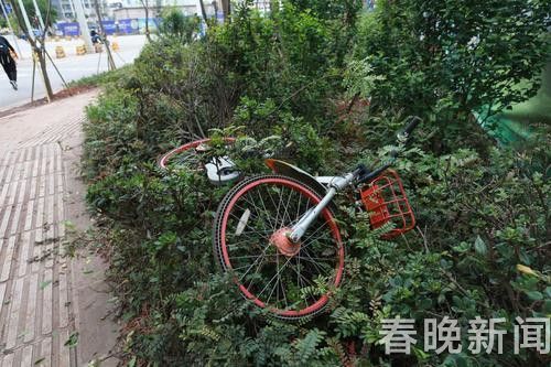 201806071711326BOVYC