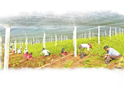 2018060808_res03_attpic_brief 2018060808_res03_attpic_brief