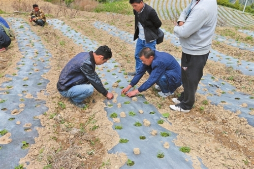 2018060808_res11_attpic_brief 2018060808_res11_attpic_brief