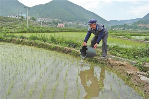 2018060808_res15_attpic_brief 2018060808_res15_attpic_brief